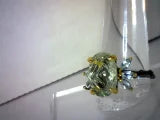 6 Carat Natural Green Amethyst (Prasiolite) Cocktail Ring with Blue Topaz Accents